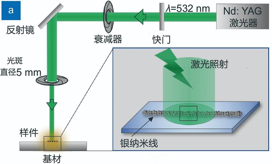 1646216499380165.jpg 1646216499380165.jpg