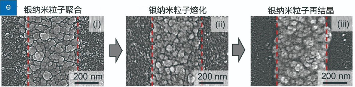 1646216697749588.jpg 5.jpg