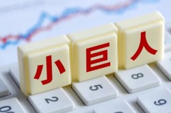 “小巨人”榜单来了!哪些欧陆娱乐企业上榜?